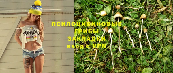 прущие грибы Новокубанск
