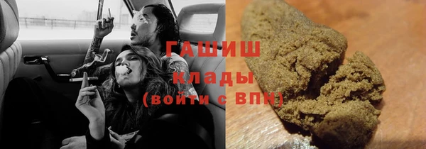 стафф Новозыбков