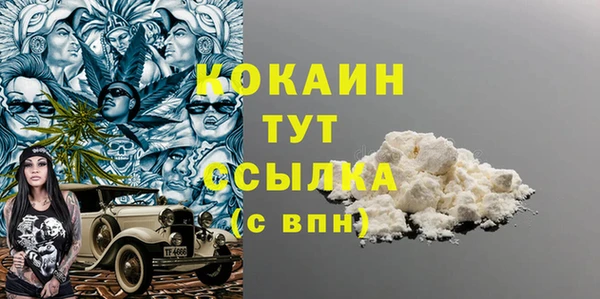 прущие грибы Новокубанск
