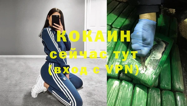 метадон Новодвинск