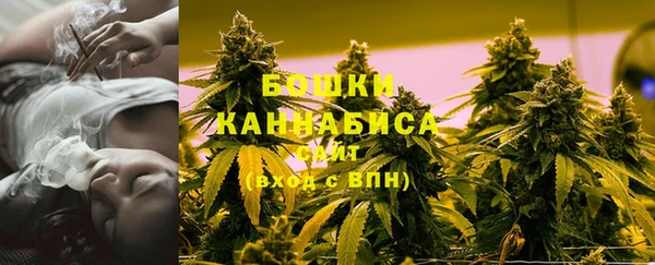 метадон Новодвинск