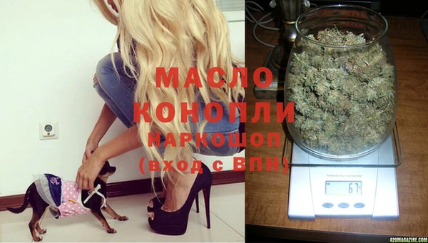 ГАЛЛЮЦИНОГЕННЫЕ ГРИБЫ Няндома