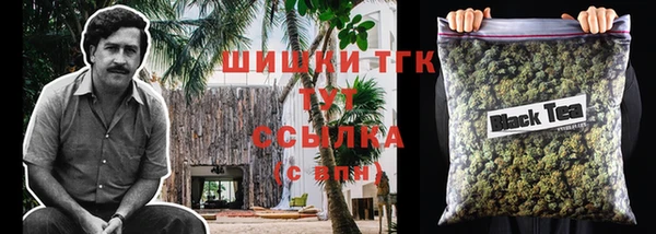 метадон Новодвинск