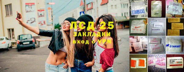 стафф Новозыбков