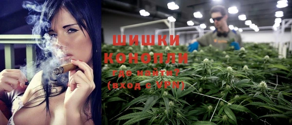стафф Новозыбков