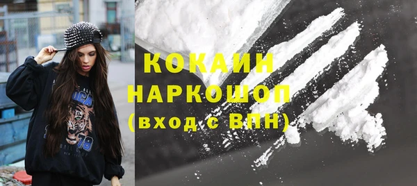стафф Новозыбков