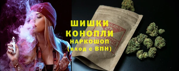 прущие грибы Новокубанск
