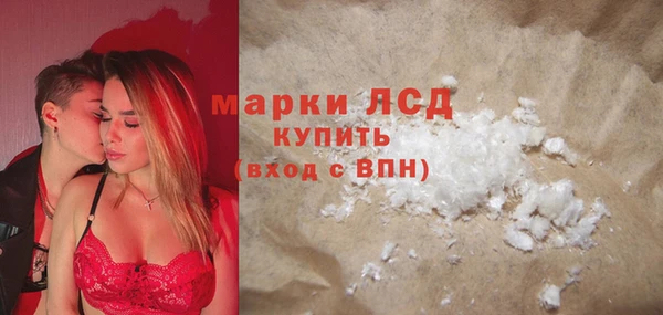 прущие грибы Новокубанск
