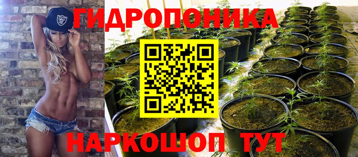 Когалым  Конопля MAZAR  Вход с VPN  Бошки Шишки OG Kush  Бошки Шишки MAZAR  МАРИХУАНА SATIVA & INDICA 